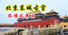 嗯啊骚货在线观看视频中国北京-东城古宫旅游风景区